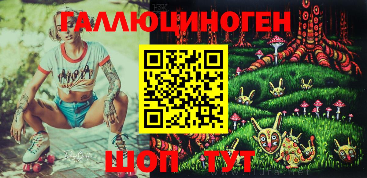 купить наркотик  Псилоцибиновые грибы Magic Shrooms  Вход с VPN  Шуя 